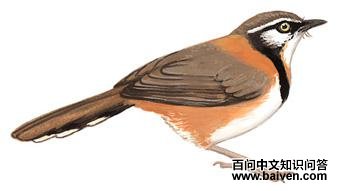 С�������̵�ͼ��