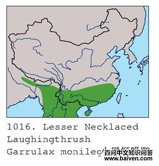 С�������̵ĵ����ֲ�ͼ