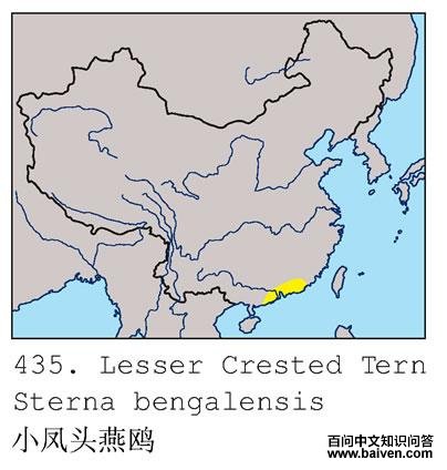 С��ͷ��Ÿ�ĵ����ֲ�ͼ