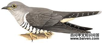 С�ž��ͼ��