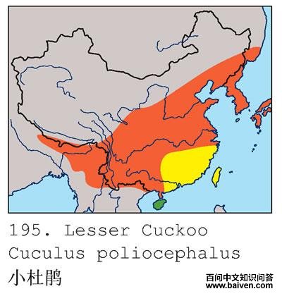 С�ž�ĵ����ֲ�ͼ