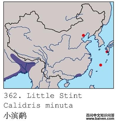 С���ֵĵ����ֲ�ͼ