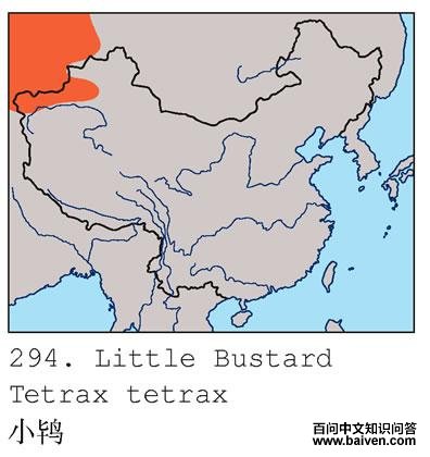 С�ĵ����ֲ�ͼ