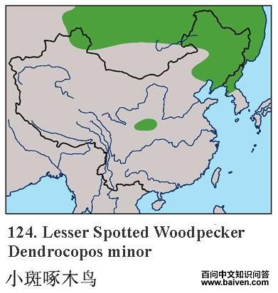 С����ľ��ĵ����ֲ�ͼ