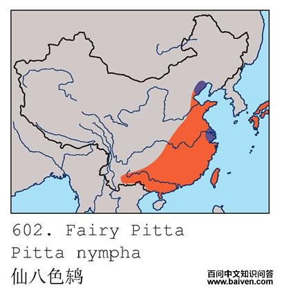 �ɰ�ɫ�ĵ����ֲ�ͼ