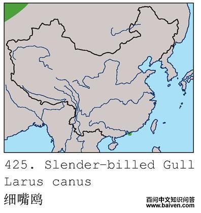 ϸ��Ÿ�ĵ����ֲ�ͼ