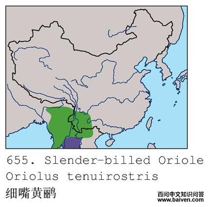 ϸ����ĵ����ֲ�ͼ