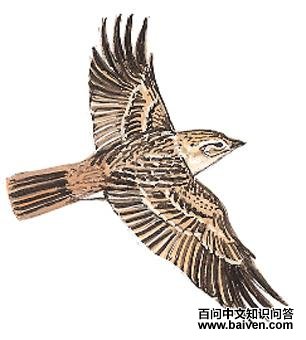 ϸ���ֺ�����ͼ��