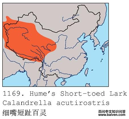 ϸ���ֺ����ĵ����ֲ�ͼ