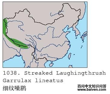 ϸ�����̵ĵ����ֲ�ͼ