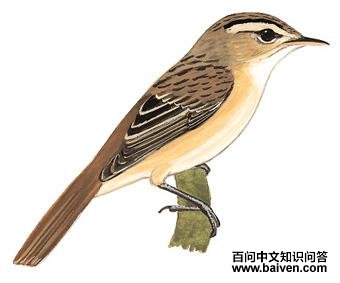 ϸ��έݺ��ͼ��