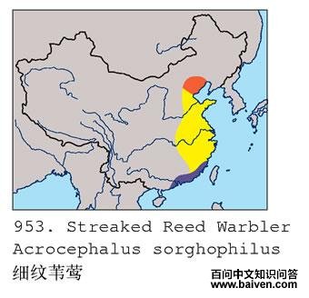 ϸ��έݺ�ĵ����ֲ�ͼ