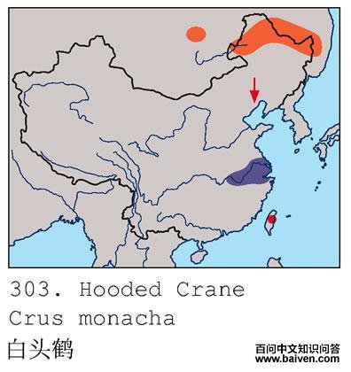 ��ͷ�׵ĵ����ֲ�ͼ