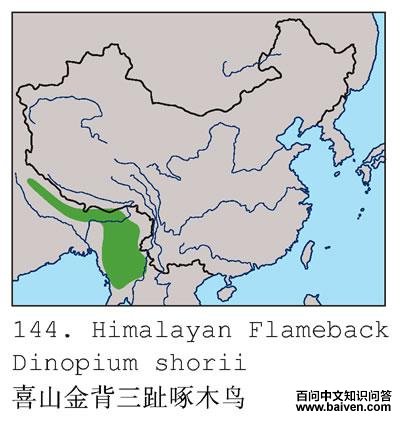 ϲɽ����ֺ��ľ��ĵ����ֲ�ͼ