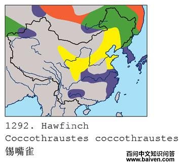 ����ȸ�ĵ����ֲ�ͼ