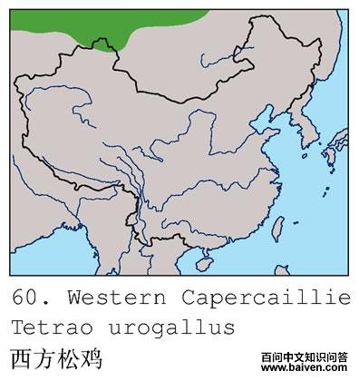 �����ɼ��ĵ����ֲ�ͼ