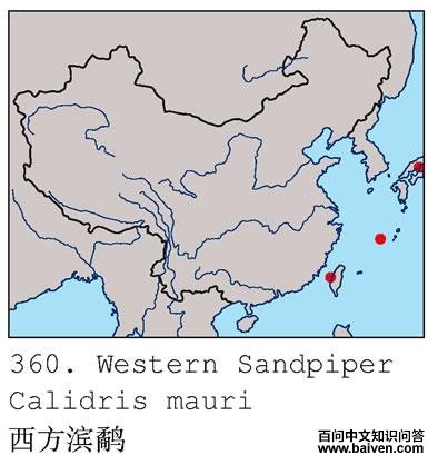 �������ֵĵ����ֲ�ͼ