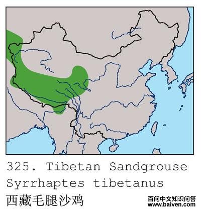 ����ë��ɳ���ĵ����ֲ�ͼ