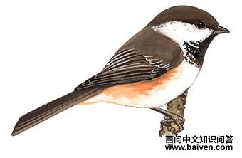 ��������ɽȸ��ͼ��