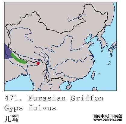 أ�յĵ����ֲ�ͼ