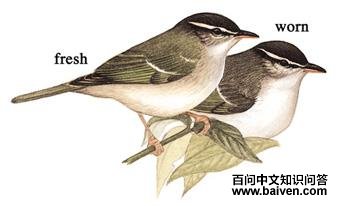 ������ݺ��ͼ��