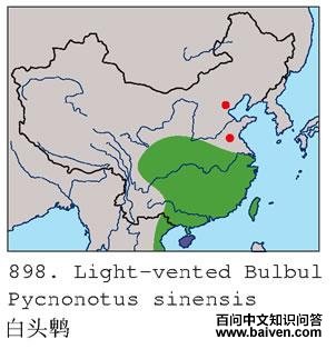 ��ͷ�ǵĵ����ֲ�ͼ