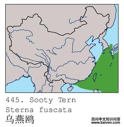 ����Ÿ�ĵ����ֲ�ͼ