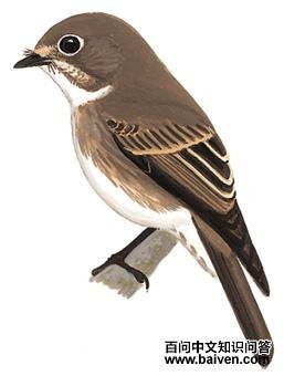 ���l��ͼ��