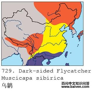 ���l�ĵ����ֲ�ͼ