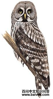 �����^��ͼ��