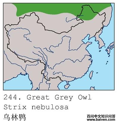 �����^�ĵ����ֲ�ͼ