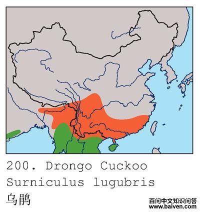 �ھ�ĵ����ֲ�ͼ