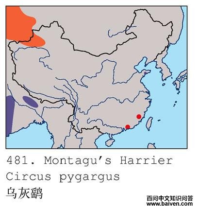 �ڻ��εĵ����ֲ�ͼ