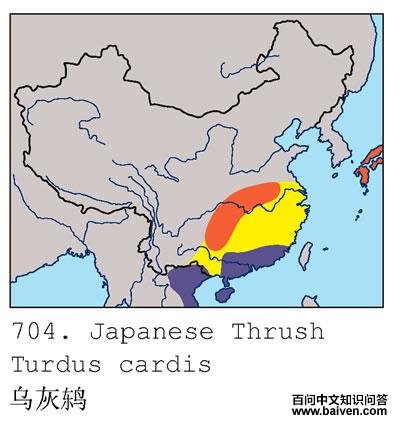 �ڻ��ĵ����ֲ�ͼ