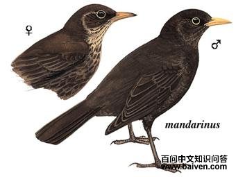 ����ͼ��