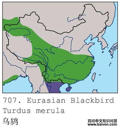 ���ĵ����ֲ�ͼ