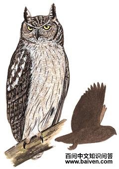 �ڵ��^��ͼ��