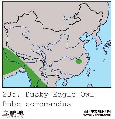 �ڵ��^�ĵ����ֲ�ͼ