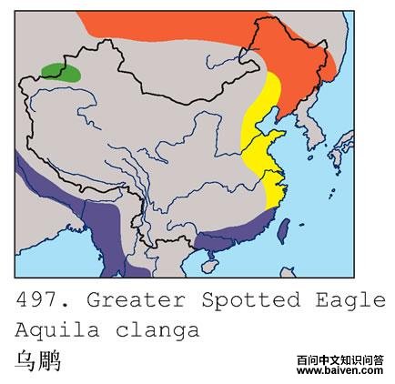 �ڵ�ĵ����ֲ�ͼ