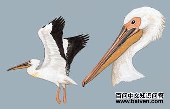 �����ɵ�ͼ��