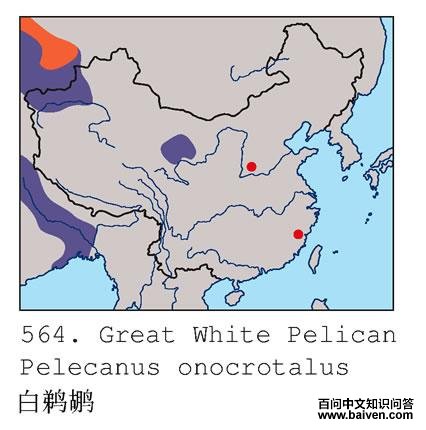 �����ɵĵ����ֲ�ͼ