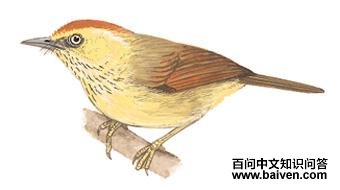 ���ؾ��̵�ͼ��