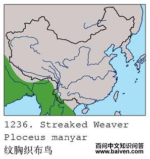 ����֯����ĵ����ֲ�ͼ