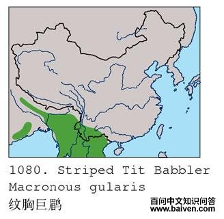 ���ؾ��̵ĵ����ֲ�ͼ