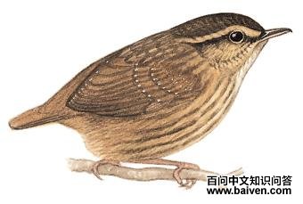 �������̵�ͼ��