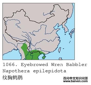 �������̵ĵ����ֲ�ͼ