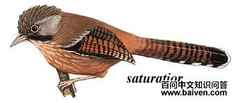 ���ذ߳��̵�ͼ��