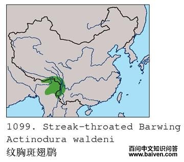 ���ذ߳��̵ĵ����ֲ�ͼ