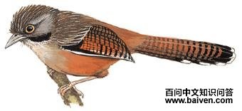 ��ͷ�߳��̵�ͼ��