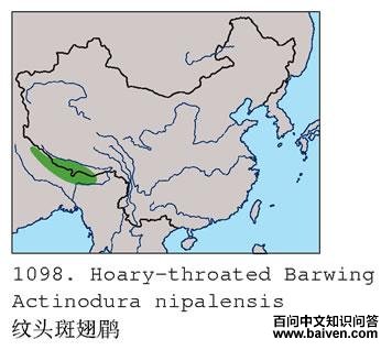 ��ͷ�߳��̵ĵ����ֲ�ͼ